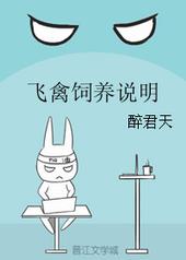 ��������˵��