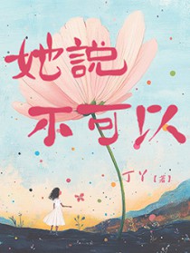 ��˵������